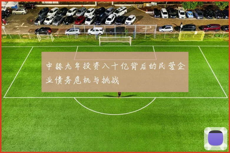 中赫九年投资八十亿背后的民营企业债务危机与挑战