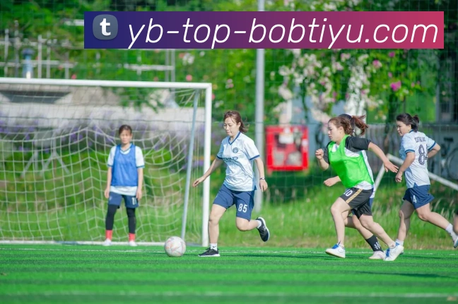 多媒体互动体验